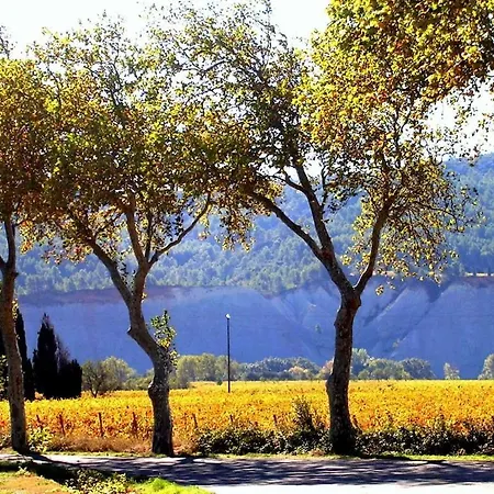 Дом отдыха Moliere - La Maison Comfortable *